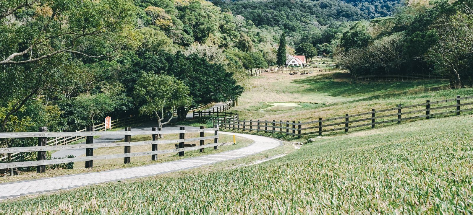 Rural Virginia landscape with a winding path and a house in the distance